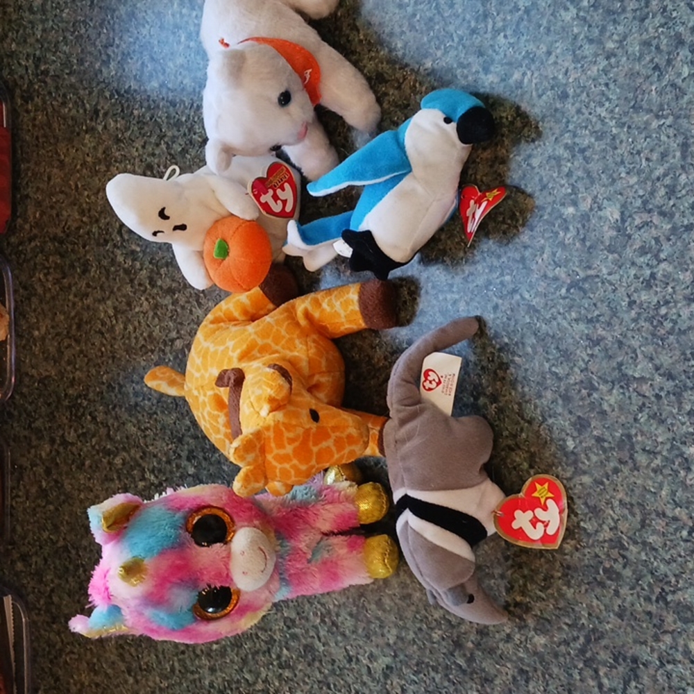 5 Beanie Baby's and 1 SPCA Cat.